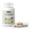 OEM Customized Private Label Ashwagandha Capsule for Stress & Mood Support